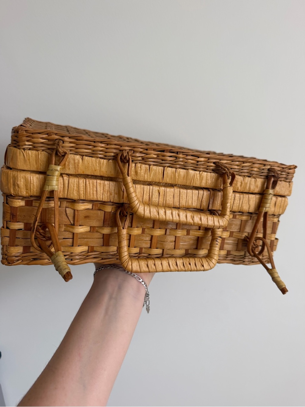 Vintage Woven Rattan Handheld Basket Bag in Tan